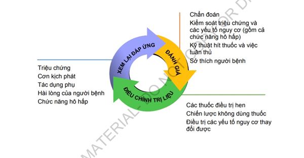 Vòng tròn khép kín trong kiểm soát hen phế quản