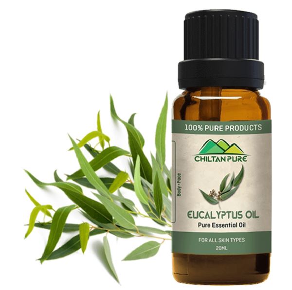 Dầu khuynh diệp và cách trị viêm phế quản tại nhà