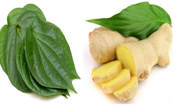 Bài thuốc dân gian trị hen suyễn từ lá trầu không