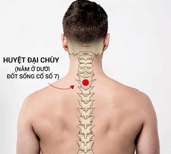 Tác động lên huyệt Đại Chùy chữa viêm phế quản