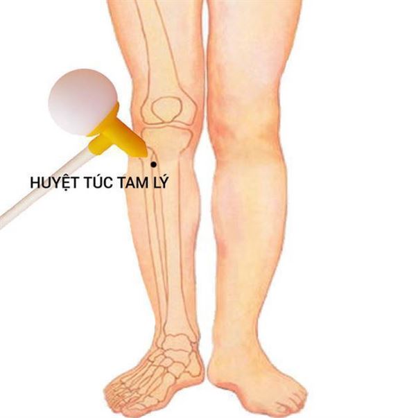 Huyệt Túc Tam Lý trong điều trị viêm phế quản