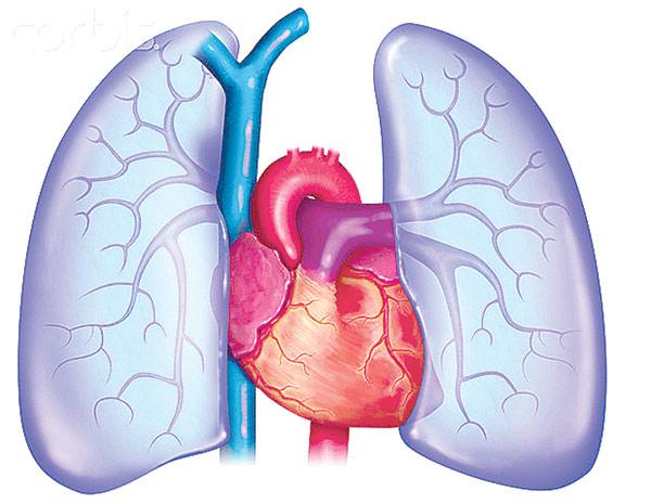 bien-chung-copd-den-tim-mach