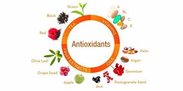 chất chống oxy hóa