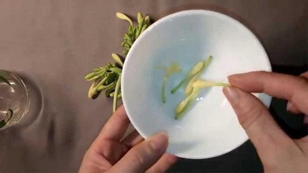 chữa ho bằng hoa đu đủ đực