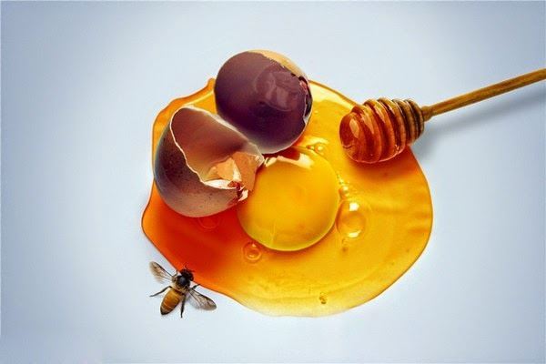 chữa viêm phế quản bằng bài thuốc dân gian trứng gà mật ong