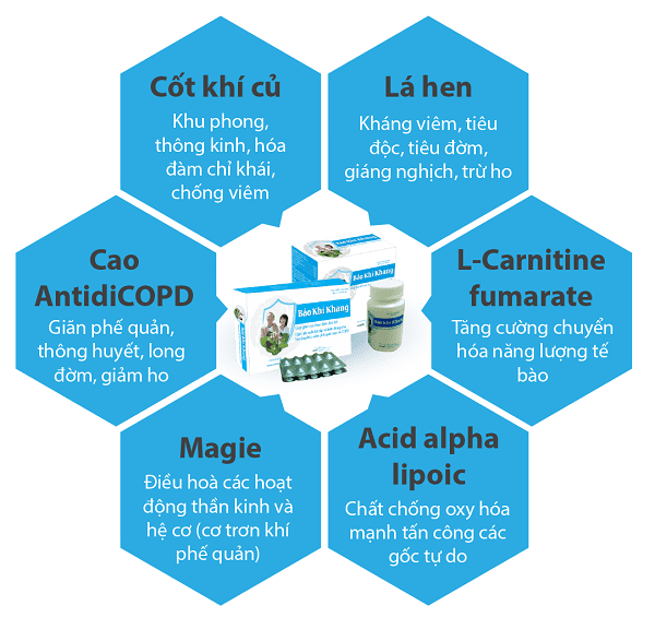 cơ chế tác dụng của bảo khí khang