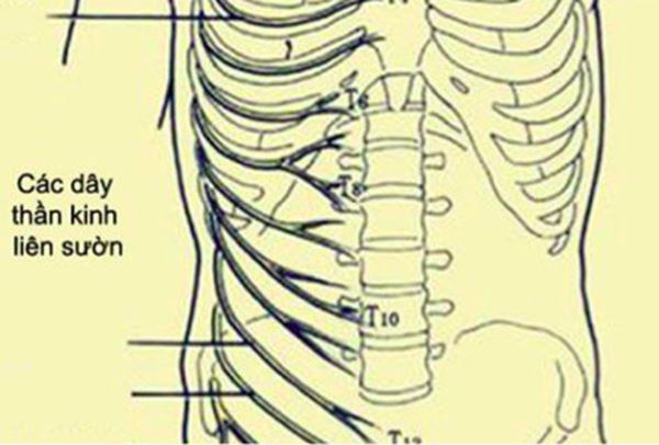đau dây thần kinh liên sườn gây đau ngực phải