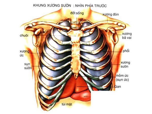 4. Cách Điều Trị Đau Giữa 2 Xương Sườn