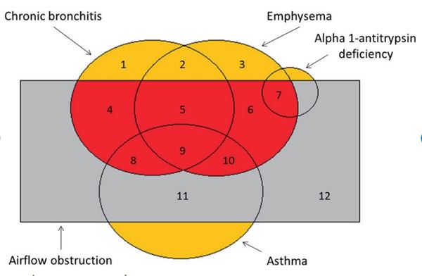 Ý nghĩa của giản đồ Venn trong COPD