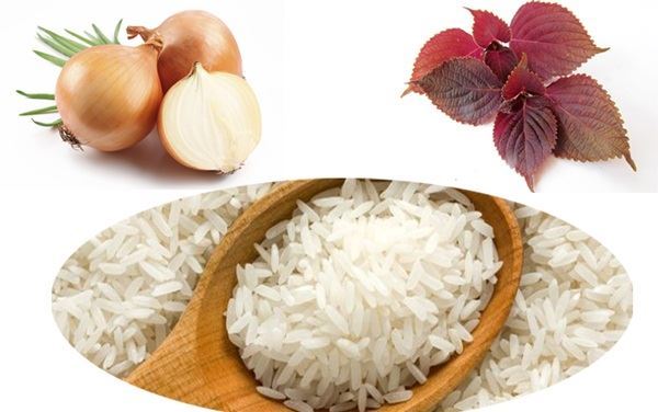 hành tây tía tô chữa ho