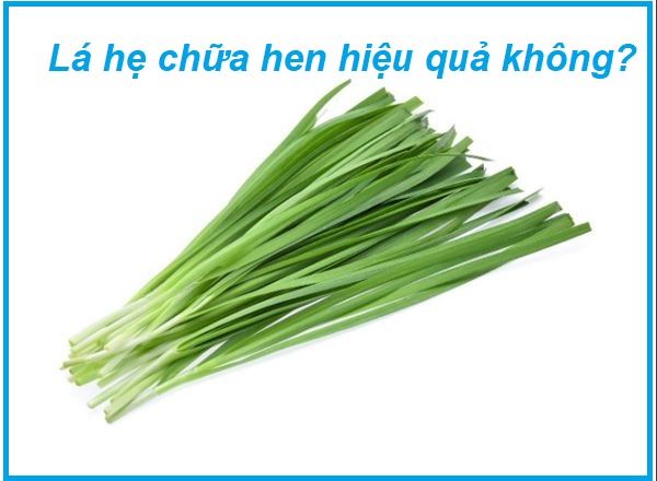 Lá Hẹ Chữa Hen Suyễn - Bí Quyết Dân Gian Hiệu Quả Bạn Nên Thử