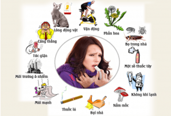 nguyên nhân gây viêm phế quản dị ứng