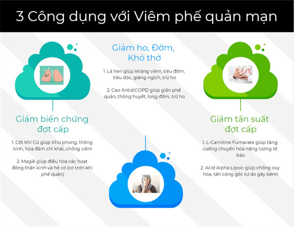 3 công dụng của bảo khí khang với viêm phế quản mạn