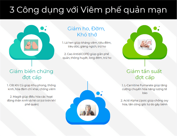 tác dũng chữa viêm phế quản của bao khí khang