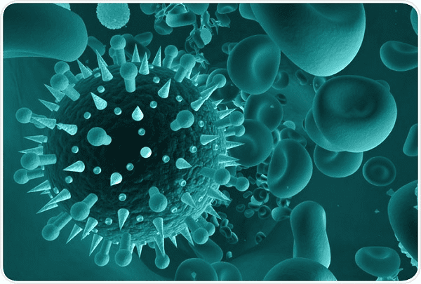 vi rút gây viêm phế quản