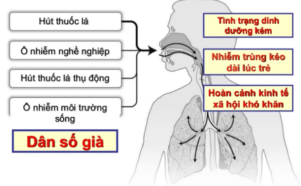 yeu-to-nguy-co-copd