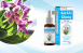 Hướng dẫn sử dụng xịt họng thảo dược Bảo Khí Khang  Hướng dẫn sử dụng xịt họng thảo dược Bảo Khí Khang
