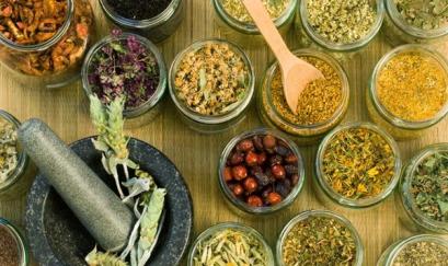  Chữa bệnh phổi tắc nghẽn mạn tính bằng Đông y 