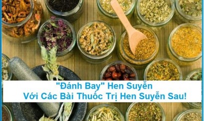Đập tan nỗi lo hen suyễn với các bài thuốc trị hen suyễn này