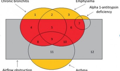 Ý nghĩa của giản đồ Venn trong COPD