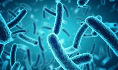 Hiểu Trọn Vẹn Về Giãn Phế Quản Bội Nhiễm