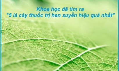 Khoa học đã tìm ra 5 lá cây thuốc chữa trị hen suyễn hiệu quả nhất!