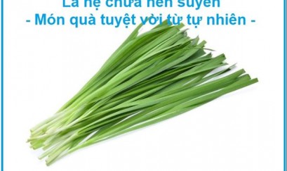 Lá hẹ chữa hen suyễn – Món quà tuyệt vời của tự nhiên